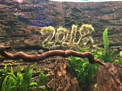 -芜湖新华联大白鲸海洋公园