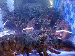 -映像威海·威海宴(威高广场店)