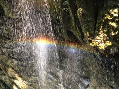 -华蓥山天意谷景区