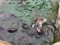 -华夏文旅海洋公园