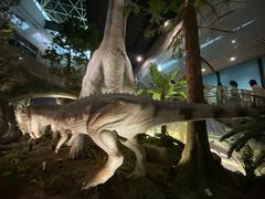 -湖南省地质博物馆