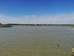 -盐城丹顶鹤湿地生态旅游区