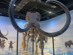 -辽宁古生物博物馆