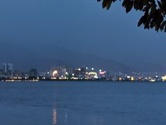 -野菌皇海景野生菌火锅(滨海大道店)