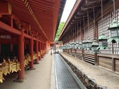 -奈良公园