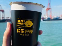 -招商蛇口邮轮母港(观光客运)