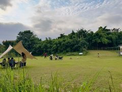 -白鹭湾湿地公园