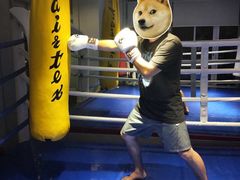 -驭力搏击健身(张江高科店)