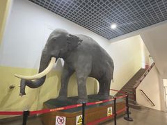 -国家自然博物馆