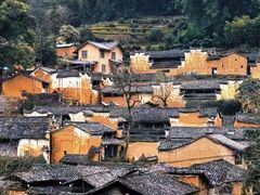 -杨家堂村