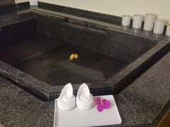 -春晖园度假酒店温泉