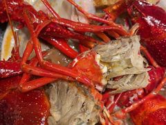 -肥肥虾庄·金牌油焖大虾(东湖欢乐谷店)