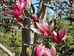 -国家植物园南园