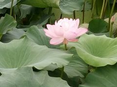 -宝泉胜境旅游度假区