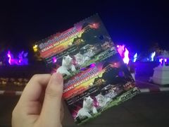 -清迈夜间动物园