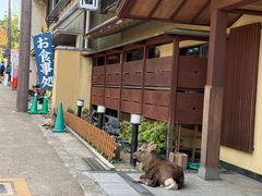-奈良公园
