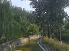-山东大学(洪家楼校区)