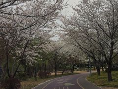 -尚贤河湿地