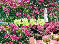 -栖露营camping·天幕烧烤·团建拓展·采摘营地