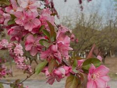 -蓝地时尚庄园(北京清河营地铁站店)