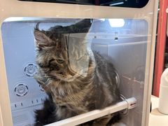 -FAELING PETS美天灵宠物(合生汇店)