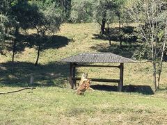 -沈阳森林动物园