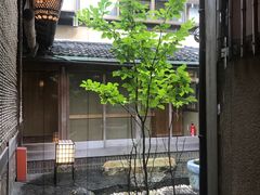 -料亭菊水楼