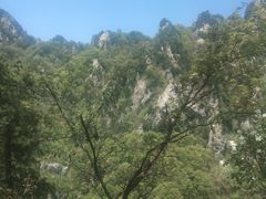 -王顺山国家森林公园