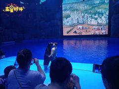 -芜湖新华联大白鲸海洋公园