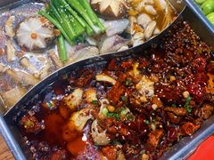 菌汤麻辣鱼锅-舒来喜鱼锅(伊河路店)