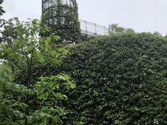 -三鹰之森吉卜力美术馆