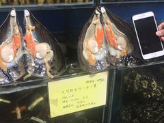 -蚝专家(北滘店)