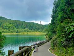 -武陵山森林公园