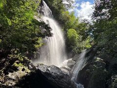 -大围山国家森林公园