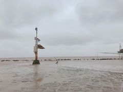 -南汇嘴观海公园