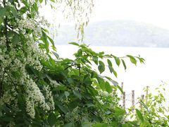 -沈阳辉山风景区