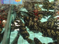 -渔民新村(番禺总店)