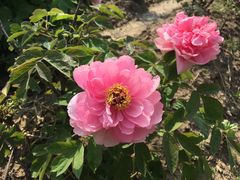 -江南大学(蠡湖校区)