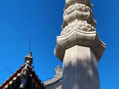 -天津大悲禅院