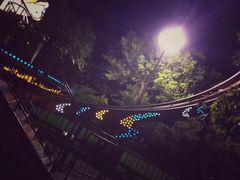 -哈尔滨文化公园