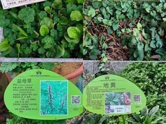 -广州神农草堂中医药博物馆