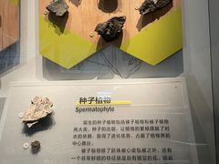 -湖南省地质博物馆