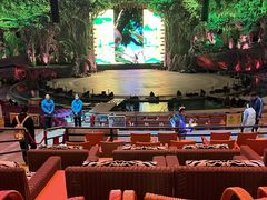 -广州长隆国际大马戏