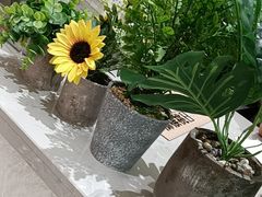 -野人先生现做冰淇淋(贵阳万象汇店)