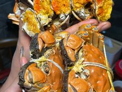 -黄记大闸蟹专卖店·活蟹·醉蟹