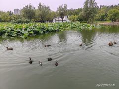 -前关湿地公园