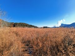 -北京鹫峰国家森林公园