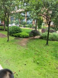 -重庆医科大学附属儿童医院(两江院区)