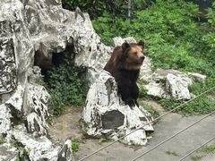 -成都动物园