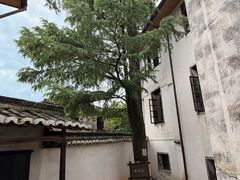 -仙霞关景区